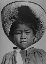 Artistas fotógrafas e travessias latino-americanas: a experiência de Tina  Modotti