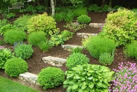 Landscaping Ideas The Challenge Of A Hill Backyard Hill Landscaping Shade Landscaping Sloped Garden