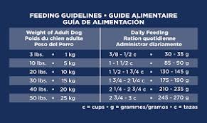 Eukanuba Senior Maintenance Dog Food