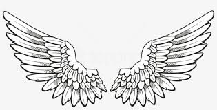 Blue wings #1078923 by lal perera. Free Png Download White Wings Clipart Png Photo Png Angel Wings Drawing Transparent Png 850x392 Free Download On Nicepng