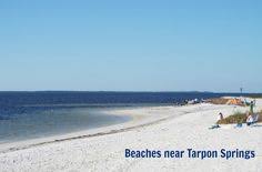 Long term tarpon springs rv parks. 25 Hickory Point Rv Park Ideas Tarpon Springs Gulf Coast Florida Rv Parks