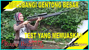 .mau ngisi lebih sayang mano nya. Test Lagi Satu Titik Beberapa Tembakan Inilah Ruger 6000 Psi Pesanan Lombok Jozzzzz Youtube