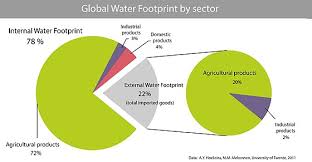 water footprint wikipedia