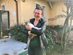 Luks Sitede Dehset 10 Gunde 12 Kedi Zehirlenerek Oldu Son Dakika Haberleri