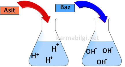 baz resmi ile ilgili görsel sonucu"