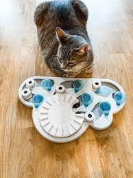 Cats have a natural instinct to hunt for prey and being fed from a bowl can cause them to be understimulated or to eat too fast. Cat Slow Feeder Puzzle Review Petstages Rainy Day Popsugar Pets