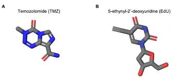 Image result for Temozolomide