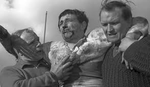 Downloaded from manchesterhive © Copyright protected It is illegal to copy  or distribute this document