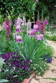 Viola Iris Erigeron Lobelia Foxglove Rose And More Uncredited Beautiful Gardens Plants Cottage Garden