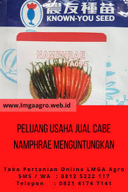 Berikut ini beberapa ide bisnis sampingan online yang menguntungkan dan bisa anda lakukan dengan modal yang minim atau tanpa modal sama sekali. Pin Di Peluang Bisnis