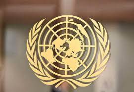 Looking for the definition of onu? La Onu Saca A La Coalicion Saudi De La Lista Negra Por Ataques A Ninos En Yemen