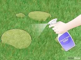 Moss, when left unchecked can causes diseases to plants and soil beds and can weaken the surrounding natural environment. How To Get Rid Of Moss In Your Lawn 14 Steps With Pictures