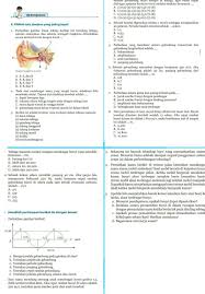 Jawaban Uji Kompetensi Ipa Bab 10 Kelas 8 Kurikulum 2013 Brainly Co Id