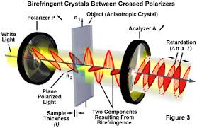 Light And Color Optical Birefringence Olympus Life Science