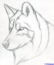 Next, sketch the eyes of your wolf. 1348x1614 Pencil Drawing Of Wolf Wolves To Draw Step 9 How To Draw Pencil Drawings Easy Dog Drawing Simple Wolf Drawing Easy