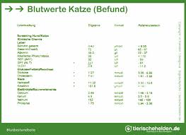 Abbreviatur) bezeichnet die linguistisch verkürzte darstellungsform eines ursprünglich längeren wortes beziehungsweise einer längeren wortgruppe. Blutwerte Bei Katzen Klinischer Befund Laborwerte Tierischehelden