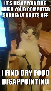 This Threatening Cat Meme Is Not Messing Around Funny Cats Funny Cat Memes Cat Memes