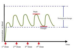 How To Read Your Test Part 12 Drug Test Interpretation