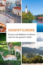 Geheimtipp Slowenien Marchenhafter Genuss Und Wellness Im Land Des Drachen Slowenien Reiseziele Und Reisen