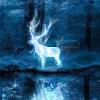 The patronus charm, introduced in harry potter and the prisoner of azkaban, is a defensive spell which produces a silver, animal guardian, used to protect a witch or wizard against dementors. 1
