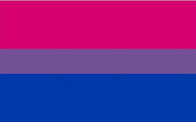 Shop flags starting at only $12.95. Bisexual Flag Pride Buy Online With Myflag Com Au