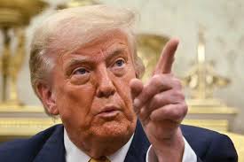 Elisa Santa Clara de Azevedo Ferreira