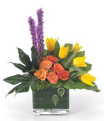 Check spelling or type a new query. Contemporary Expressions At From You Flowers