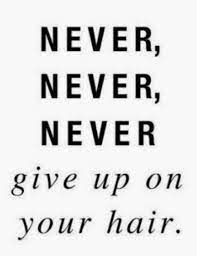 Never Never Give Up On Your Hair Motivation From Prettydollfacedaz Natural Hair Styles Hair Quotes Beautiful Natural Hair
