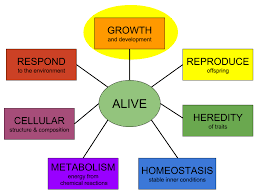 Which of the following, according to mr. Grow And Develop Characteristics Of Life Expii