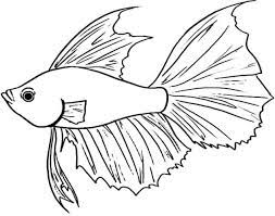 Gambar yang bagus untuk menghias kelas; Gambar Ikan Hitam Putih Keren Ini Untuk Diwarnai Gambar