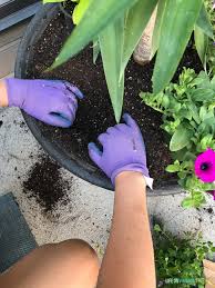 Grow greens or flowers and let the beautiful pots enhance your front porch, balcony or garden. Tutorial How To Plant Flowers In A Pot Life On Virginia Street
