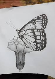 Peace out and have fun! Beautiful Butterfly Sat On The Flower Drawing Butterfly Flower Sketch Guestpost Beautiful Pencil Drawings Flower Drawing Flower Sketches