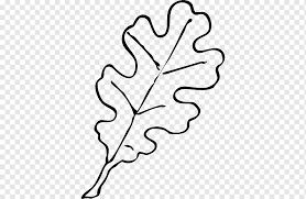 Leaf free vector we have about (5,316 files) free vector in ai, eps, cdr, svg vector illustration graphic art design format. Drawing White Oak Leaf Leaves Black And White White Leaf Hand Png Pngwing
