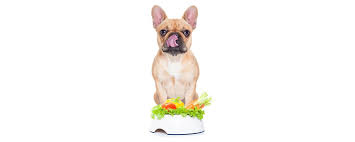 Have a question that just won't wait? Healthy Pet Foods Treats And Beautiful Accessories For All Animals Grovely Pets