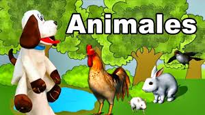 Resultado de imagen de LOS ANIMALES