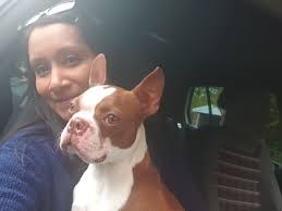 A small dog started following my daughter home! I picked my daughter up in  the car part way. A couple of people had stopped to see to it, hope s/he is  reunited