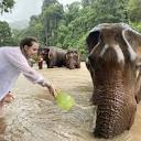 Elephant Pride | One Day Ethical Elephant Tour | Chiang Mai