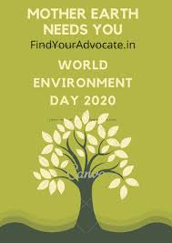 To explain the theme the un says, the foods we eat, the air we breathe, the water we. World Environment Day 2020 Theme Find Your Advocate
