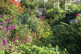 A Butterfly Garden In South Florida Backyard Garden Design Dream Backyard Garden Backyard Garden Layout