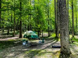Rustic cabins are located on quiet, isolated sites and many have waterside views. Me And My Girlfriend S Site At Holly River State Park Wv From This Weekend Three Days Two Nights Of Peace Camping