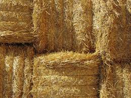 Maybe you would like to learn more about one of these? How To Build A Straw Bale Compost Bin