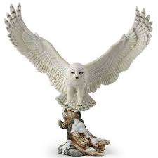 Bird With Wings Spread Out Pin On Snowy Owl