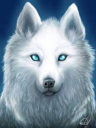 Anime wolves wolf cool deviantart background aniu hdblackwallpaper pups male rp stay fight widescreen wide. Anime White Wolf Wallpaper