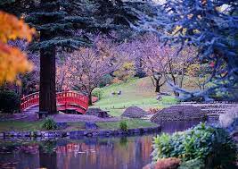 vtravelled loves albert kahn museum paris paris attraction top tours paris garden