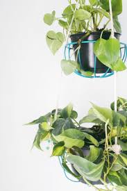 Hanging planters can add a bit of vibrancy to places where traditional potted flowers may not be ideal and are usually low maintenance. 12 Diy Hanging Planters To Make Apartment Therapy
