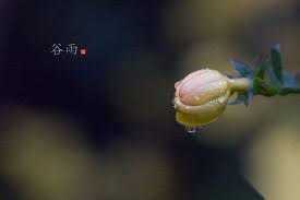 Meaning (of words, symbols, or concepts); ç©€é›¨è¦ä¸‹é›¨å—Žç©€é›¨æ˜¯ä»€éº¼æ„æ€ æ˜Ÿå¥³åœˆ