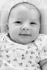 Publication suspended, seeking new ownership