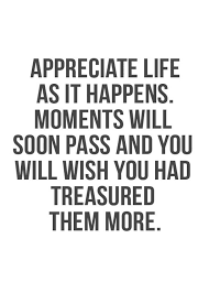 We often fail to appreciate the best moments while chasing after greener pastures. Quotes About Appreciate Life 163 Quotes