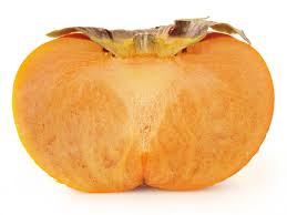 What does your persimmon seed reveal? 40 Foods That Are Poisonous Or Unhealthy For Dogs And Cats Pethelpful