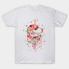 Digestive System Anatomy T Shirt Teepublic